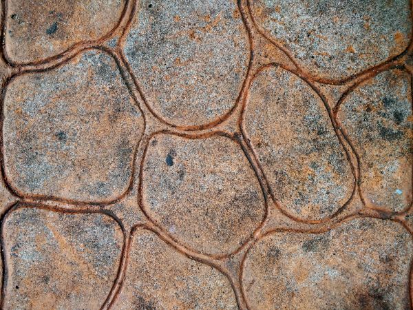 Textured Concrete Installation in Littleton