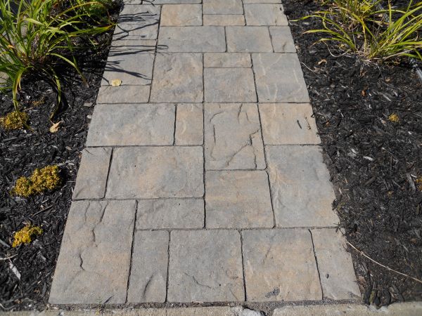Stamped Concrete Staining in Littleton